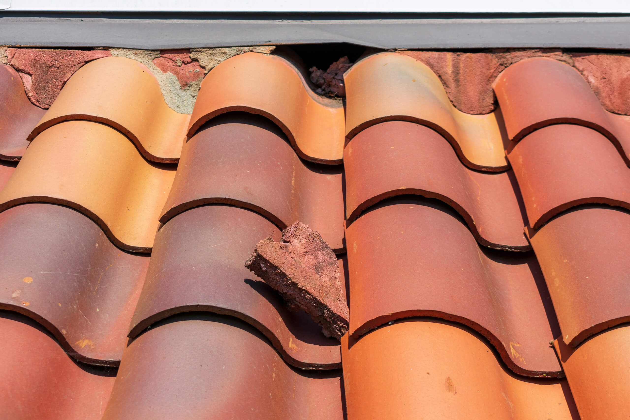 A photo of some damaged roof shingles.