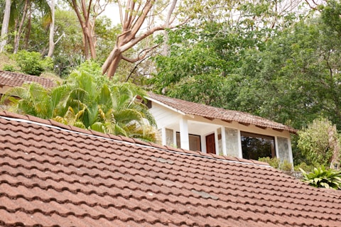 A beautiful home in hawaii surrounded by plants an trees.