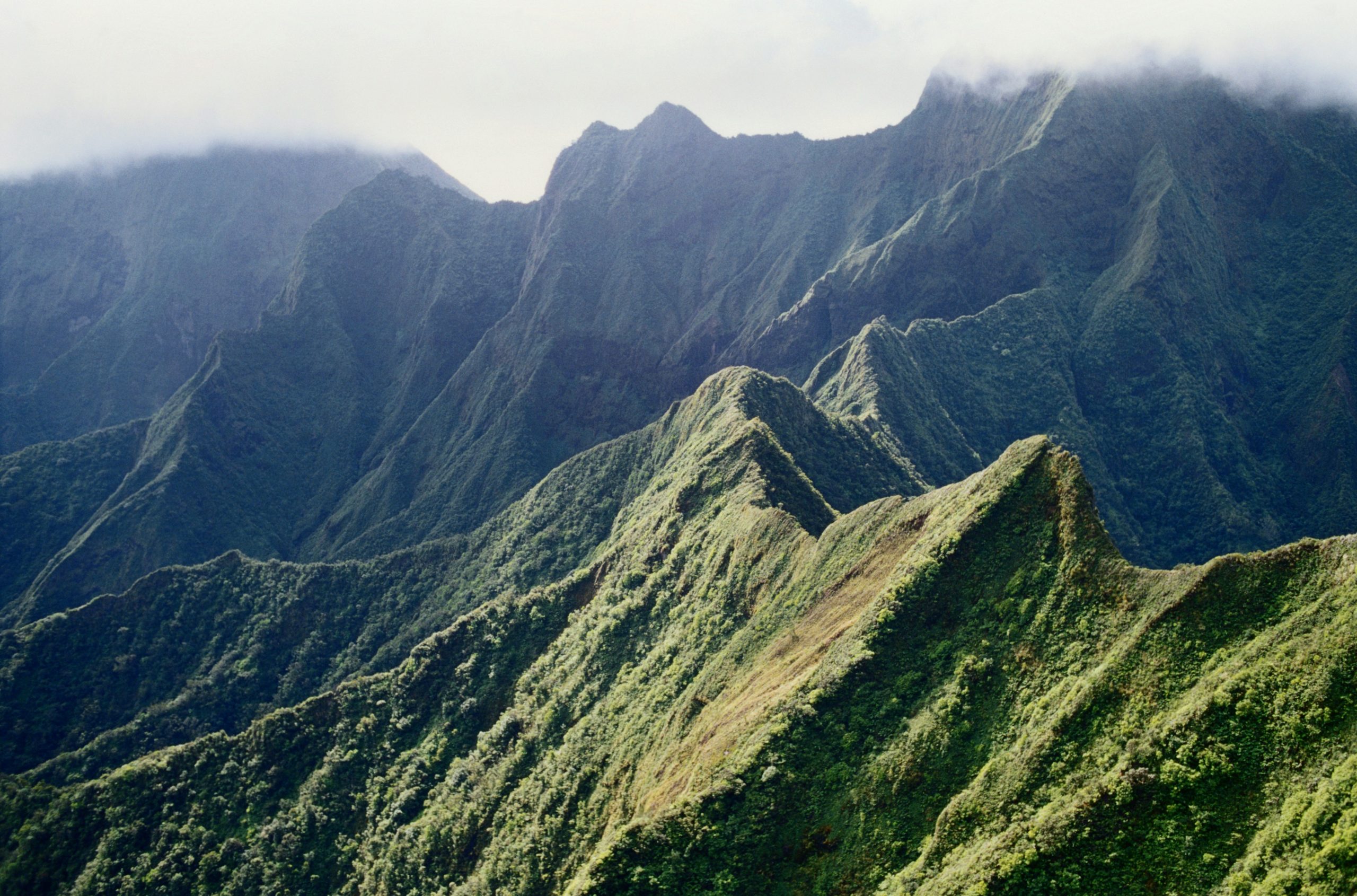 A beautiful landscape shot of the mountains and greenery of hawaii.