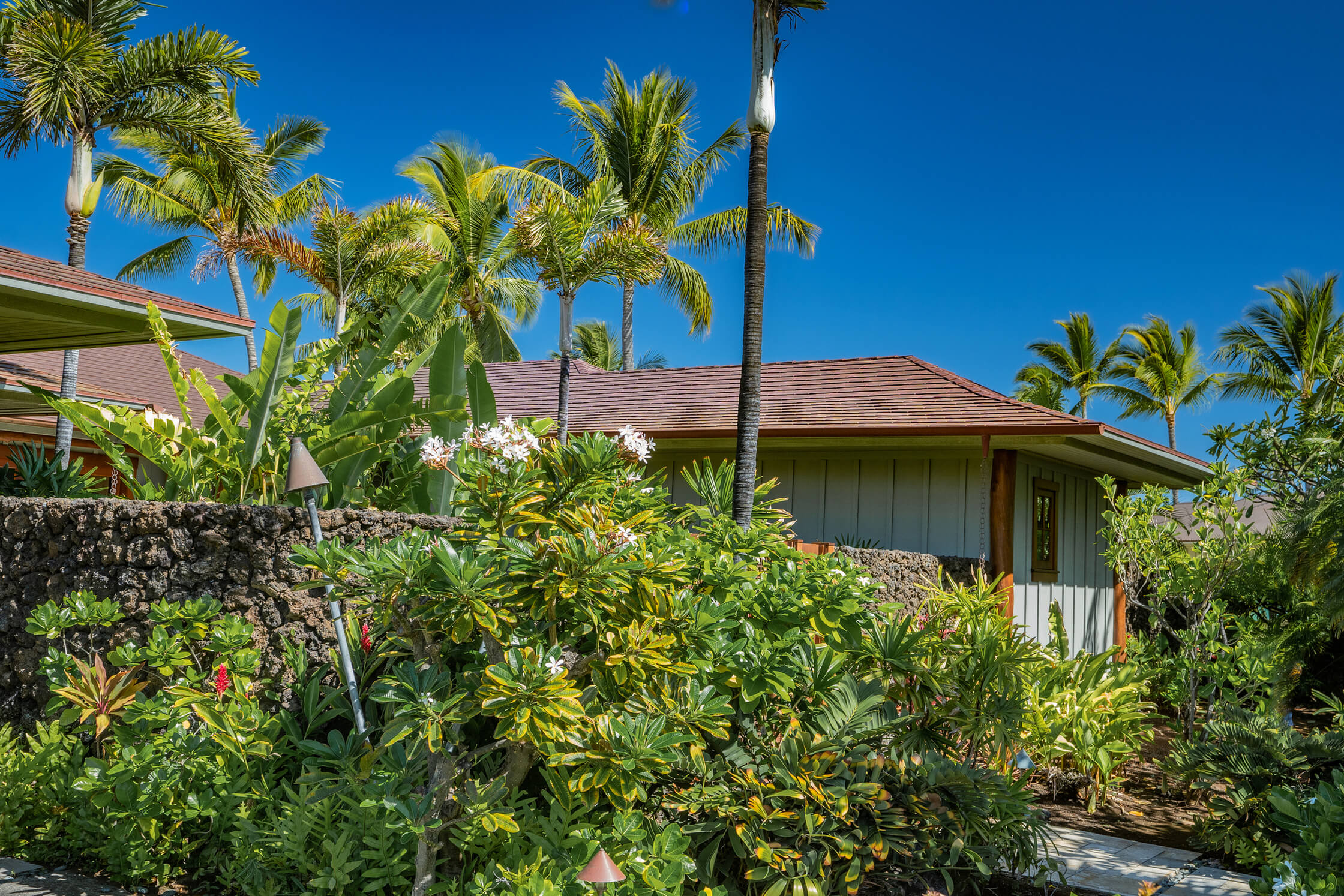 A beautiful home in hawaii surrounded by plants an trees.