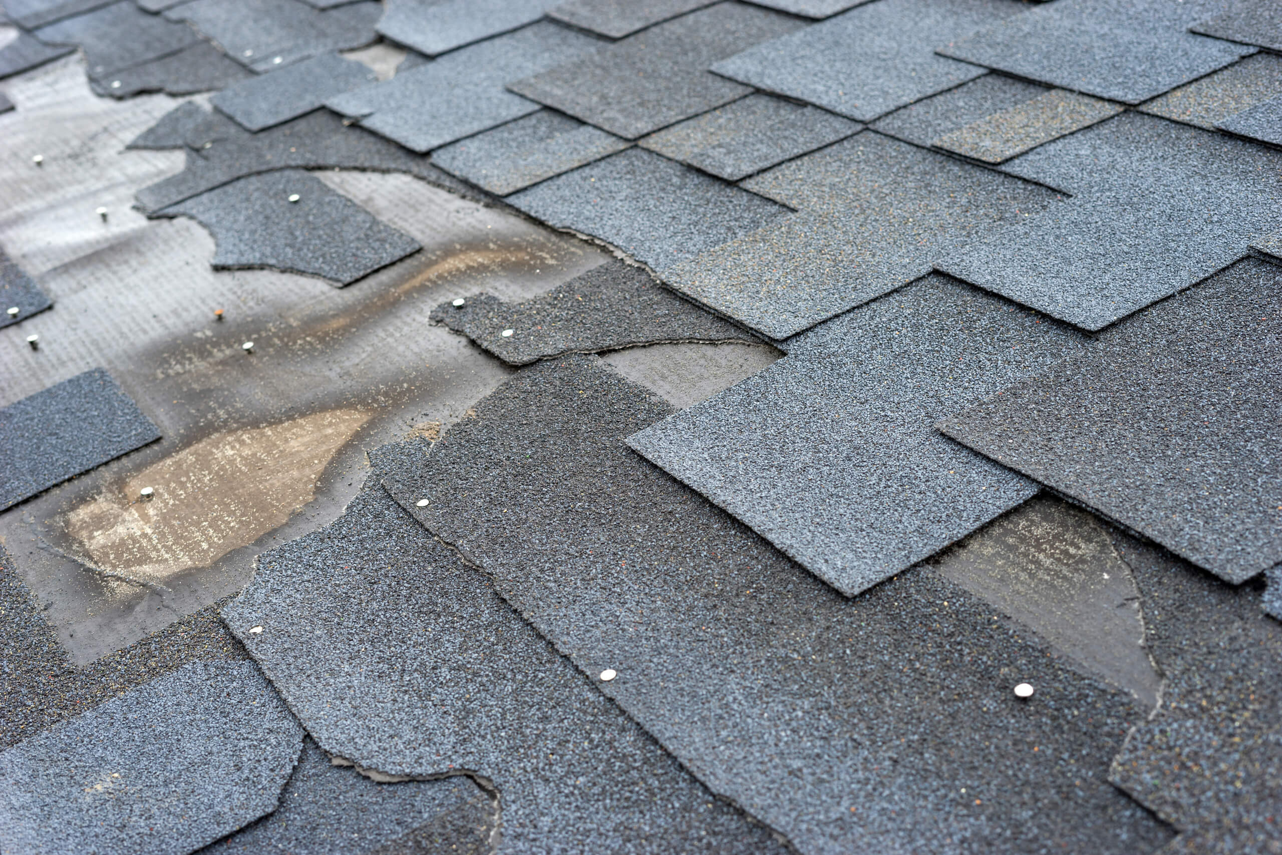 A photo of some severe shingle damage to a roof.