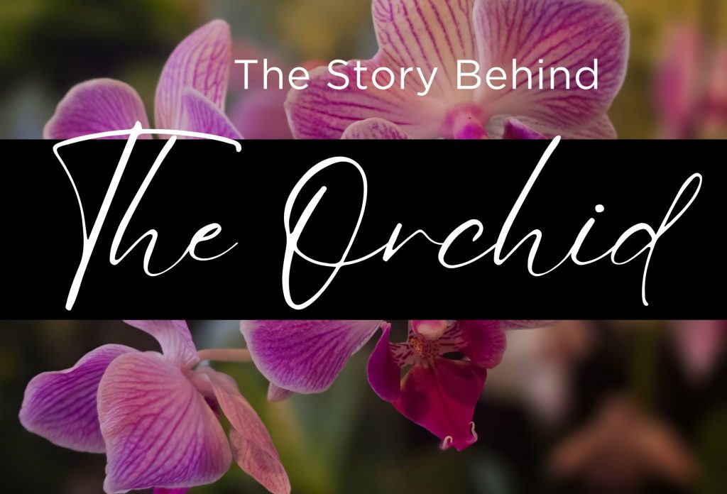 The story behind the orchid